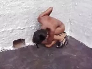 यह देखने के लिए कि क ...